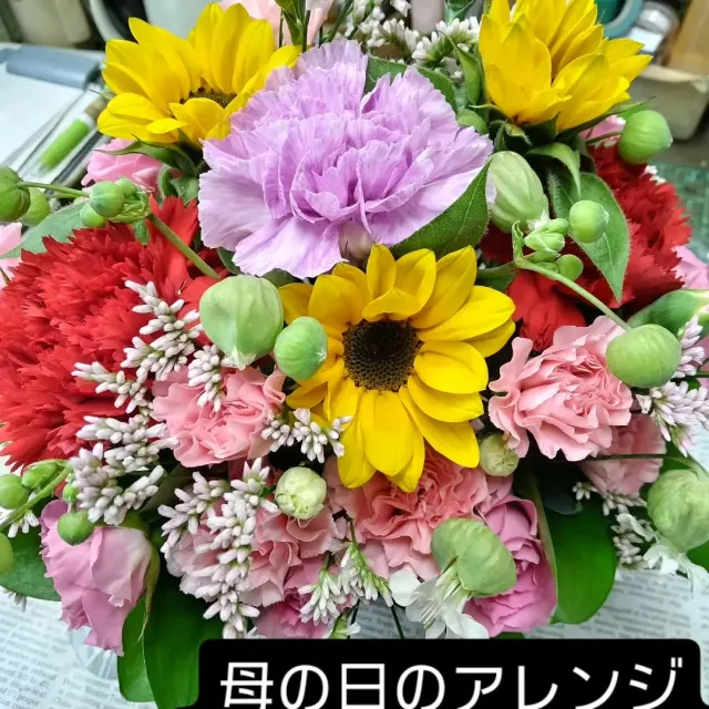 Photo by 三色すみれ ふわふわ on May 08, 2026.