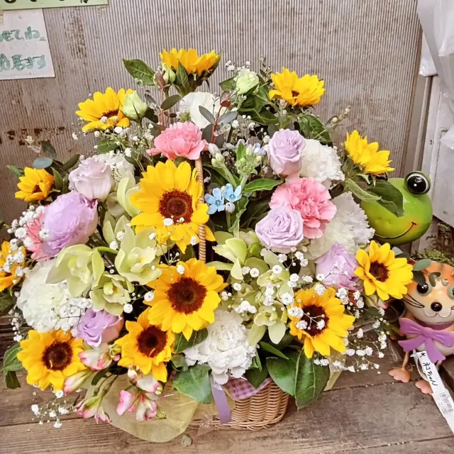 ヒマワリ🌻大好きな方へ