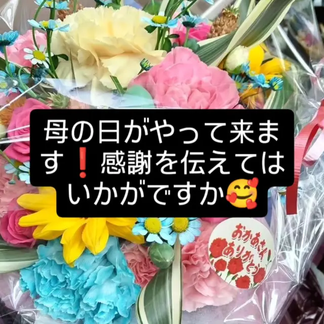 Photo by 三色すみれ ふわ on May 02, 2026.