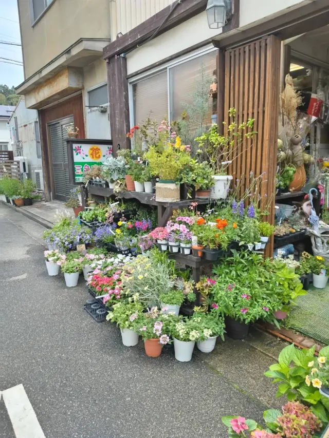 三色すみれのお店写真