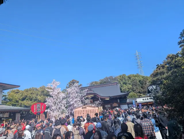 豊年祭