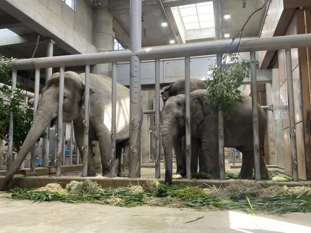 東山動植物園動物園の口コミ